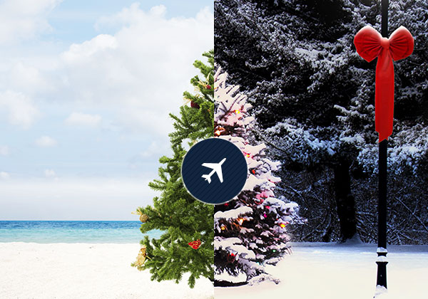 Holiday Travel Deals