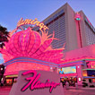 Flamingo Hotel - Las Vegas
