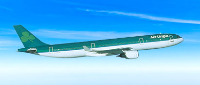Aer Lingus Meal