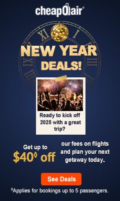 Ready to kick off 2025 with a great trip? Enter code NY40 for up to $40◊ off our fees on flights and plan your next getaway today.