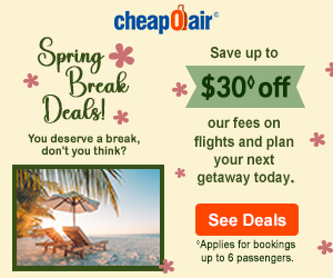 Halloween Travel Deals Save up to $30◊ off our Fees on Flights Use Coupon HALLO30