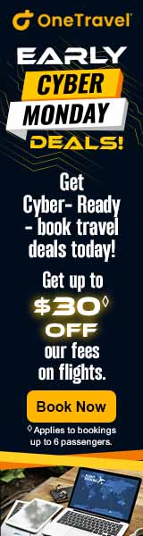 It's never too early for New Year's travel deals! That's why you can save up to $30 on our fees with Promo Code NEWYEAR30!