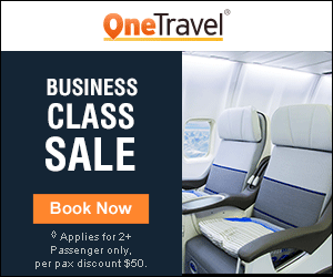 Business Class Travel !! Get up to $100 off◊ our fees on flights with promo code BC100. Book Now!!
