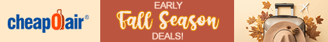 Can't stand the heat? Just enter code EFALL40 for up to $40◊ off our fees on flights and plan your perfect autumn getaway today. See Deals