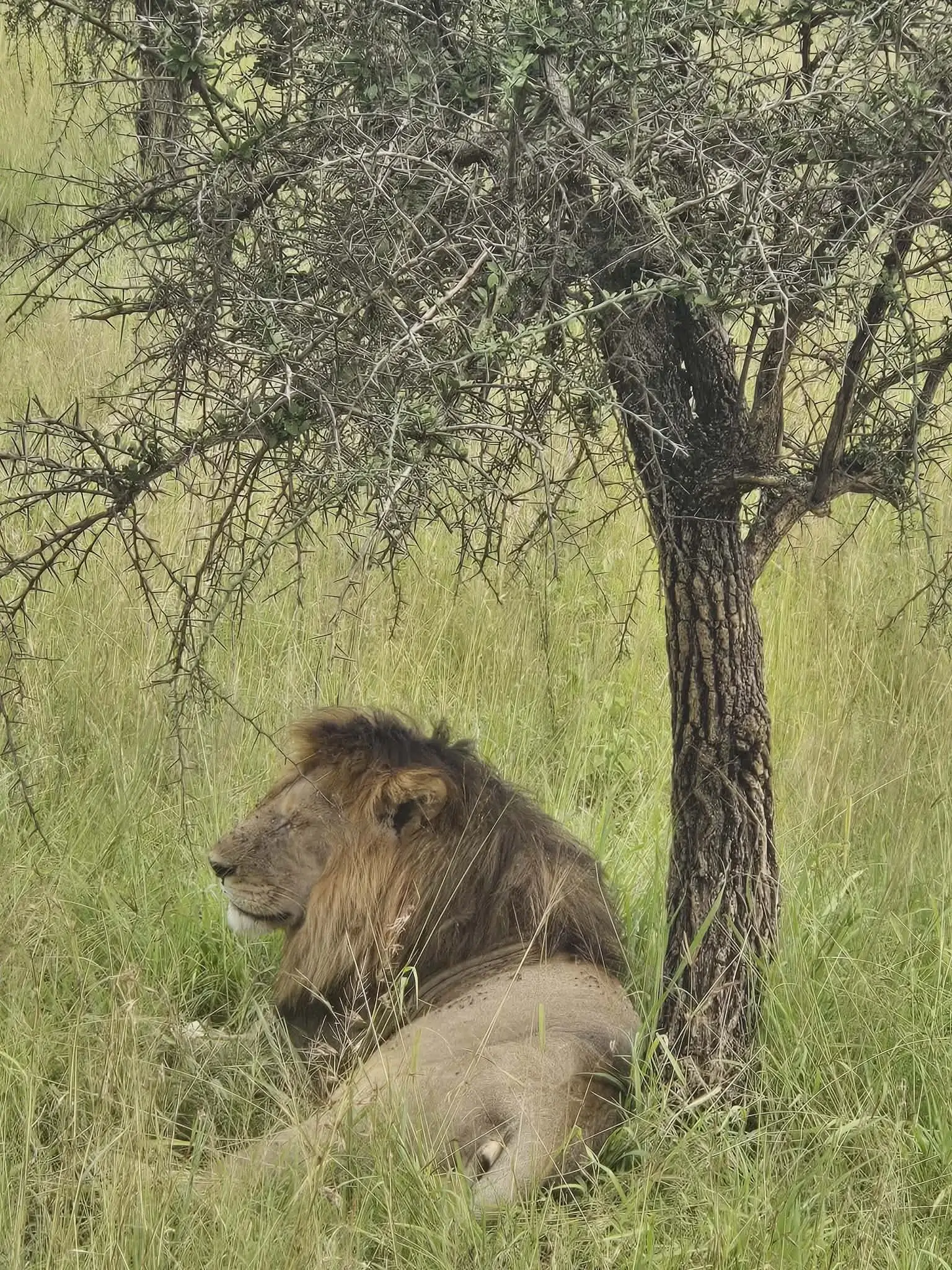 Group Travel Gallery - Image6