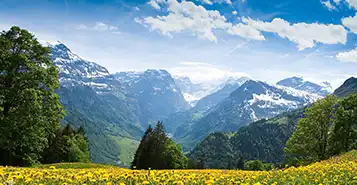 Cheap Car Rentals in Altenrhein, Switzerland