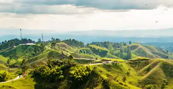 Cheap Car Rentals in Armenia, Colombia