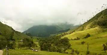 Cheap Car Rentals in Bucaramanga, Colombia