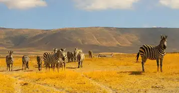Cheap Car Rentals in Bujumbura, Burundi