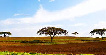 Cheap Car Rentals in Burao, Somalia