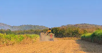 Cheap Car Rentals in Vilhena, Brazil