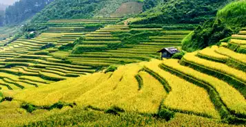 Cheap Car Rentals in Chiang Rai, Thailand