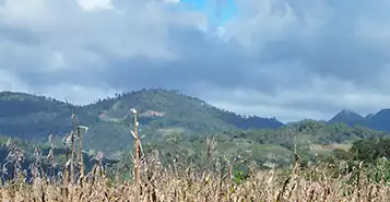 Cheap Car Rentals in Comitan, Mexico