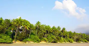 Cheap Car Rentals in Coconut Island, Australia
