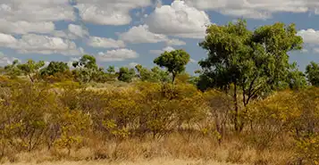 Cheap Car Rentals in Cloncurry, Australia