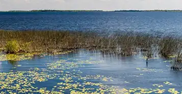 Cheap Car Rentals in Corrientes, Argentina