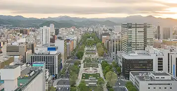Cheap Car Rentals in Sapporo Chitose, Japan