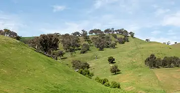 Cheap Car Rentals in Cudal, Australia