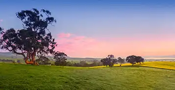 Cheap Car Rentals in Cleve, Australia