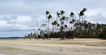 Cheap Car Rentals in Eua, Tonga