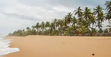 Cheap Car Rentals in Gagnoa, Cote d'Ivoire