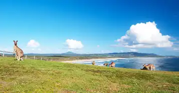 Cheap Car Rentals in Gladstone, Australia