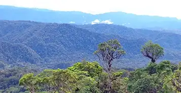 Cheap Car Rentals in Gonalia, Papua New Guinea
