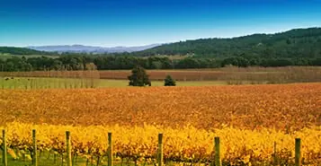 Cheap Car Rentals in Hooker Creek, Australia