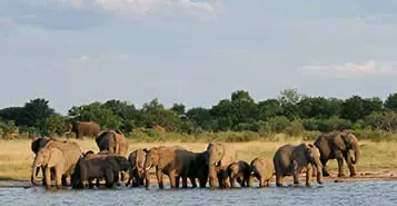 Cheap Car Rentals in Hwange National Park, Zimbabwe