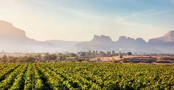 Cheap Car Rentals in Nasik, India