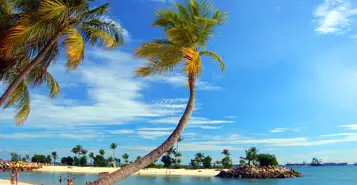 Cheap Car Rentals in Mombasa, Kenya