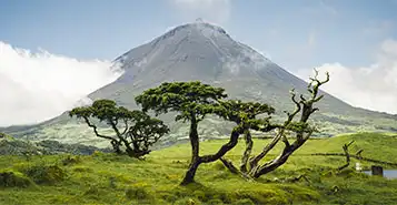 Cheap Car Rentals in Pico Island, Portugal