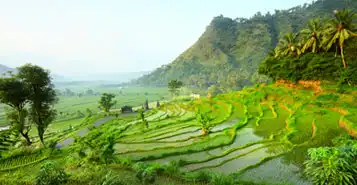 Cheap Car Rentals in Pekanbaru, Indonesia