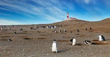 Cheap Car Rentals in Punta Arenas, Chile