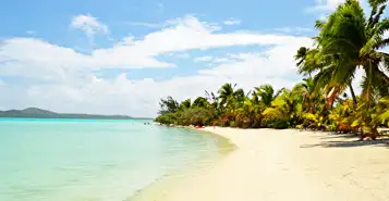 Cheap Car Rentals in Rarotonga, Cook Islands