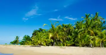 Cheap Car Rentals in San Jose Tobias, Costa Rica