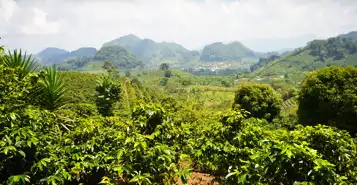 Cheap Car Rentals in Tegucigalpa, Honduras