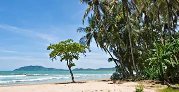 Cheap Car Rentals in Tamarindo, Costa Rica