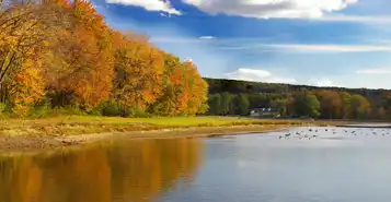 Cheap Car Rentals in Deer Lake, Newfoundland