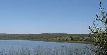Cheap Car Rentals in Bella Bella, British Columbia