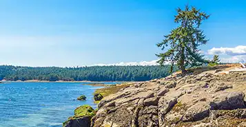 Cheap Car Rentals in Nanaimo Harbour, British Columbia