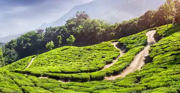 Cheap Car Rentals in Sylhet, Bangladesh