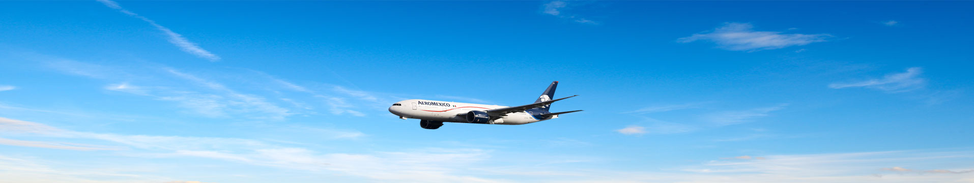 Aeromexico Flights