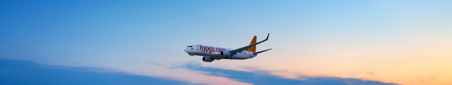 Pegasus Airlines Flights