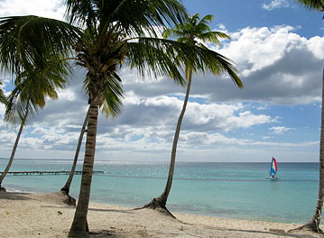 Find Cheap Flights From New York City to Dominican Republic