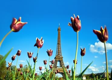 Find Cheap Flights from France