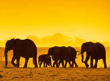 Find Cheap Flights from Kenya