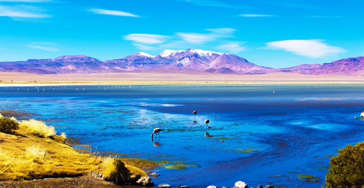 Copa Airlines Flights  from Port au Prince to Santiago