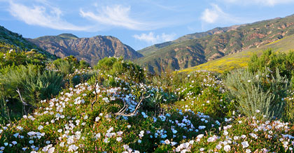 Cheap Flights from Nebraska (NE) to California (CA)