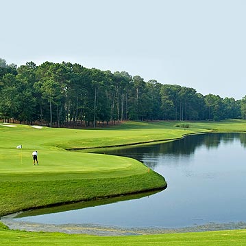 Cheap Flights from Georgia (GA) to South Carolina (SC)